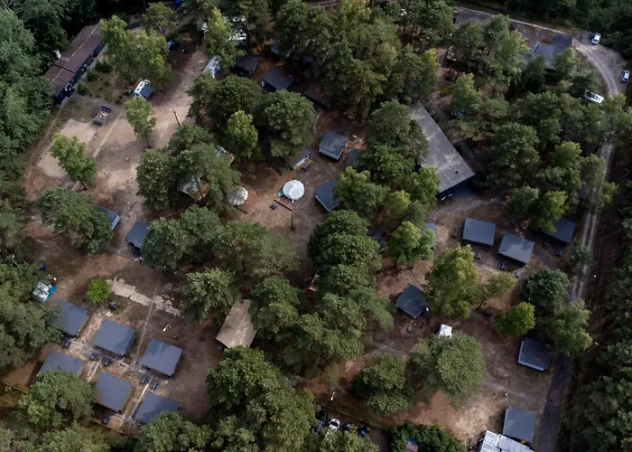Camp Bursztynowy Las
